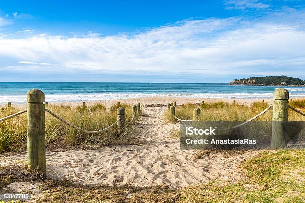 Entrance To The Beach In Sunny Day Stock Photo - Download Image Now - Beach, New Zealand, Mount Maunganui