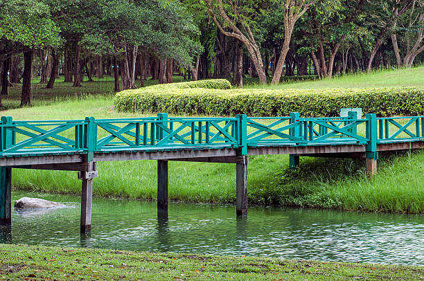 drewniane kładka dla pieszych w obrębie brook na park - pond athwart footbridge bridge zdjęcia i obrazy z banku zdjęć