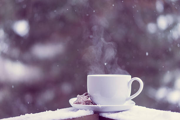 istock Cup of hot tea and cookies outside 531480365