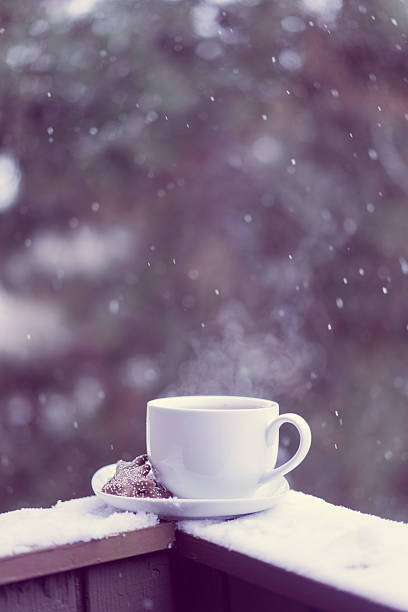 istock Cup of hot tea and cookies outside 531480377