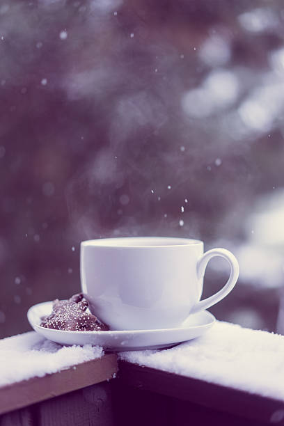 istock Cup of hot tea and cookies outside 531480383