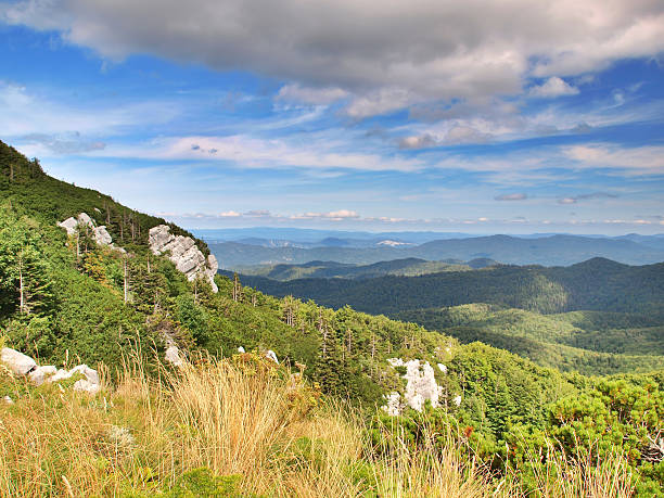 istock Risnjak National Park Panorama 531481051