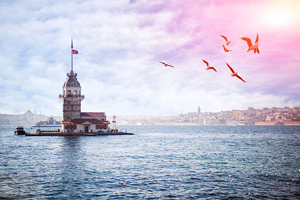 Maiden's Tower Maiden's Tower with seagull maidens tower turkey photos stock pictures, royalty-free photos & images