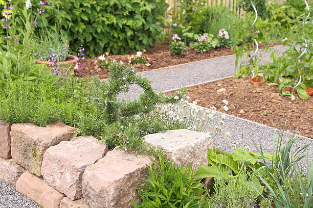 jardim de ervas - herb garden healthy eating freshness marjoram - fotografias e filmes do acervo
