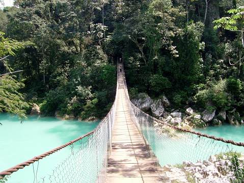 Rickety suspension bridge stretched across the pools about 10 meters above ground at Agua Clara, Chiapas on a sunny day. The crisp blue river running through lush green trees. 