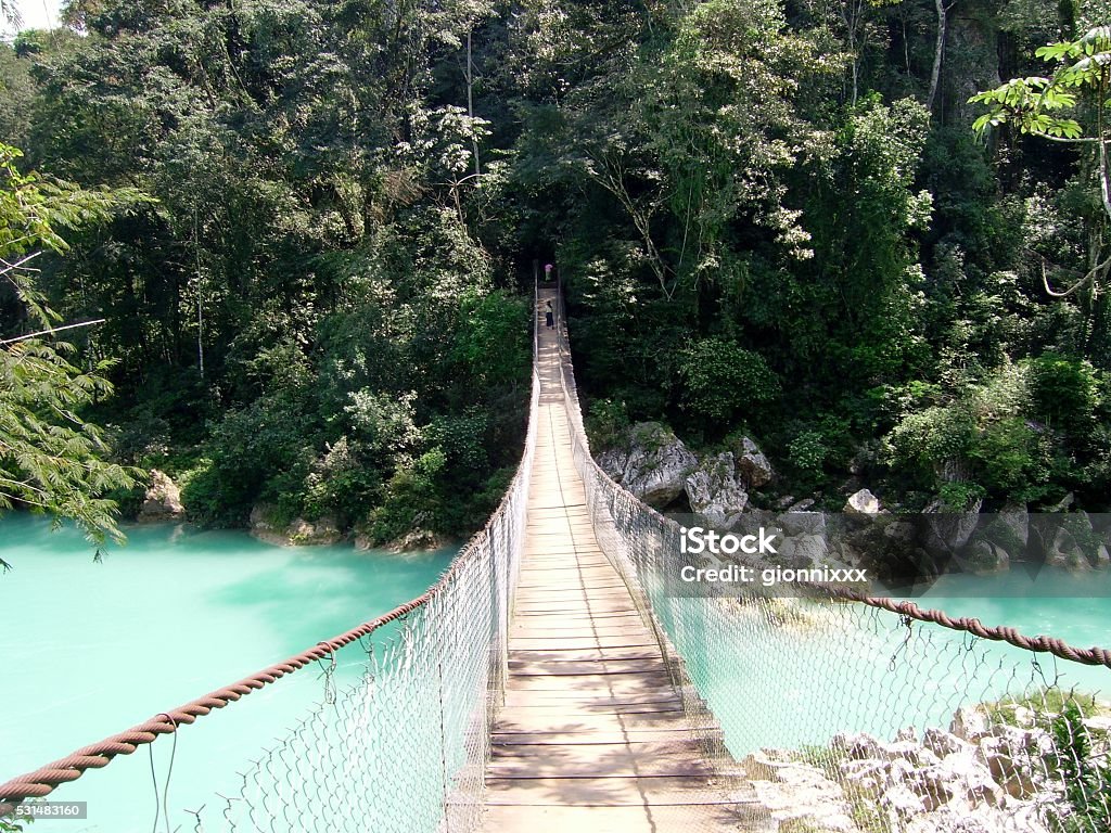 Suspension bridge at Agua Clara, Chiapas, Mexico Rickety suspension bridge stretched across the pools about 10 meters above ground at Agua Clara, Chiapas on a sunny day. The crisp blue river running through lush green trees.  Palenque Stock Photo