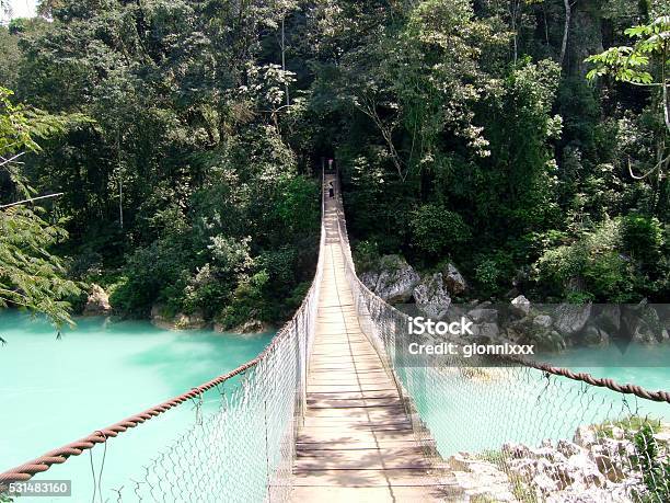 Suspension Bridge At Agua Clara Chiapas Mexico Stock Photo - Download Image Now - Palenque, Agua Clara - Mexico, Beauty In Nature
