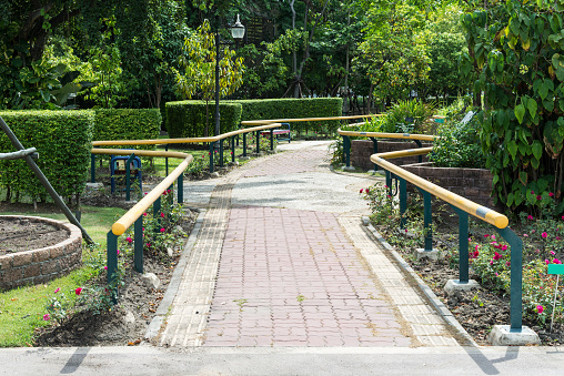 Stone tile pathway with metal handrails in the botanical garden.
