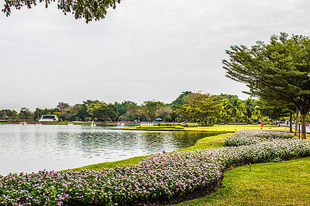 istock Flowers on the lake 531486517