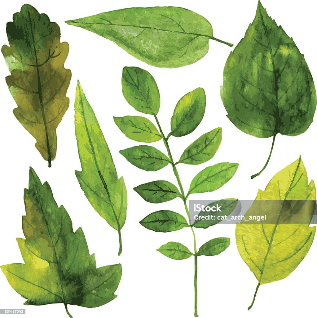 set di foglie verdi in Acquerello - arte vettoriale royalty-free di Acquerello