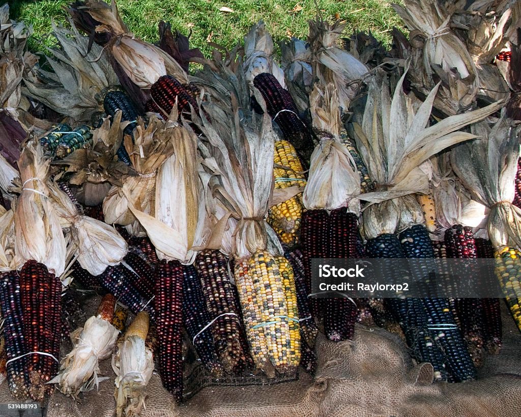 Pieces Of The Pass Traditional corn decoration and it park in history of thanksgiving Season. 2015 Stock Photo