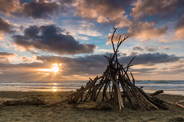 istock Beach Wood Shelter 531489303