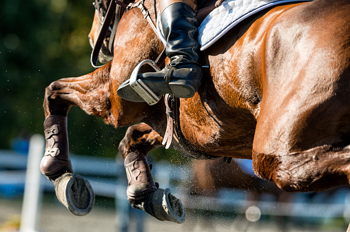 A Detail shot of a Equestrian Show Jumper in Mid Flight, with dirt flying