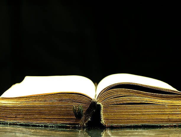 istock Old, open book with a damaged cover. 531503747