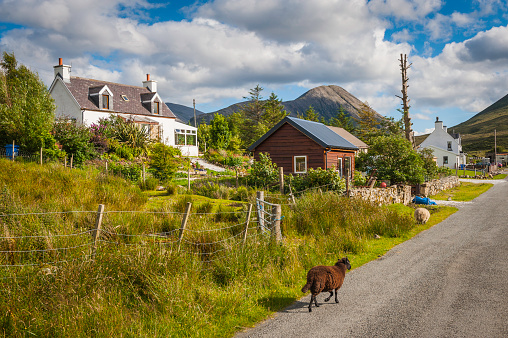 Sheep wandering through village of white washed cottages and crofts in an idyllic mountain glen deep in the wild landscape of the Isle of Skye, Scotland. ProPhoto RGB profile for maximum color fidelity and gamut.