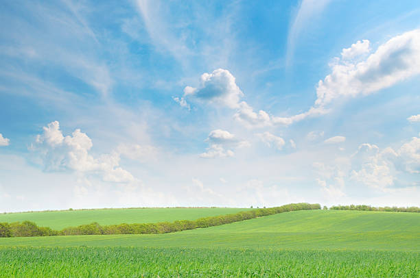 istock green field and blue sky 531506045