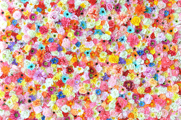 꽃 배경기술 - abundance of flowers 뉴스 사진 이미지