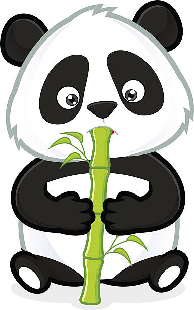 Panda comer bambú - ilustración de arte vectorial