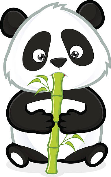 Panda comer Bambu - ilustração de arte vetorial