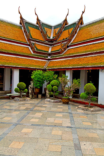 istock pavement gold    temple       bangkok  plant  temple 531508221
