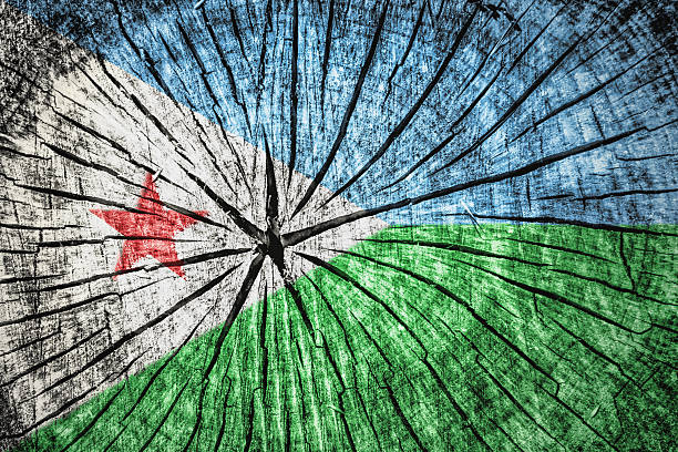 istock Flag of Djibout 531516935
