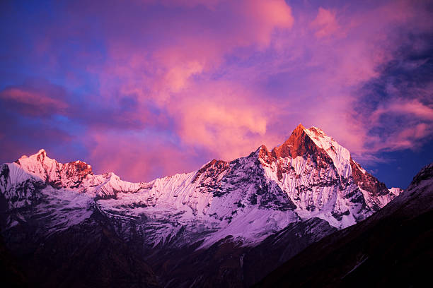 istock Mount Machapuchare (Fishtail) at sunset, Nepal 531517451