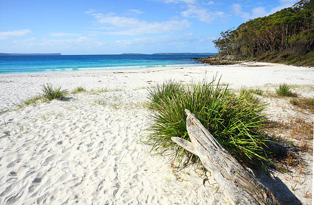 istock Unspoilt natural beach Greenfields Jervis Bay 531517461