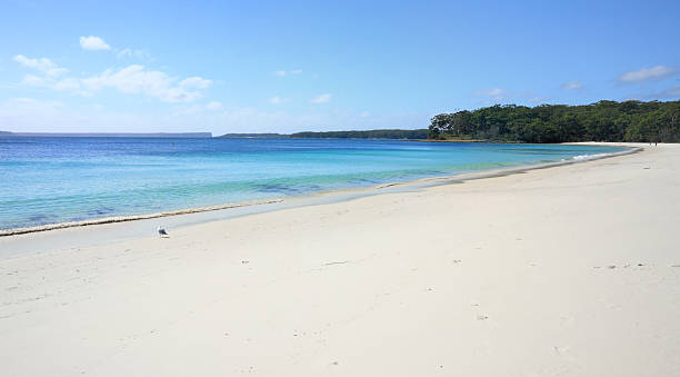 istock Pristine water at Greenfields Beach Jervis Bay 531517559