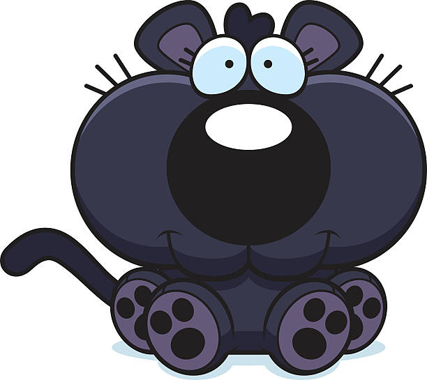 Black Panther Cub Illustrations, Royalty-Free Vector Graphics & Clip Art - iStock Black Panther Cub Illustrations, Royalty-Free Vector Graphics & Clip Art - iStock