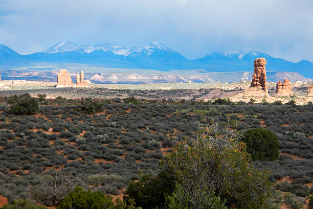 los arcos panorámica - travel famous place balanced rock beauty in nature fotografías e imágenes de stock