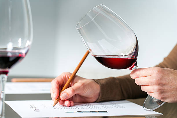 Sommelier evaluating red wine. Extreme close up of sommelier evaluating red wine in wine glass at tasting. wine tasting stock pictures, royalty-free photos & images