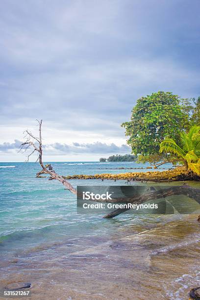 Wild Beach In Bocas Del Toro Panama Stock Photo - Download Image Now - 2015, Beach, Beauty