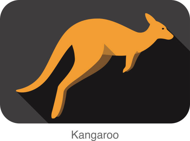 Kangaroo side flat 3D icon design Kangaroo side flat 3D icon design wallaby stock illustrations