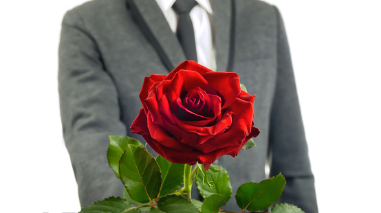 Man in grey suit holds and give beautiful red rose.