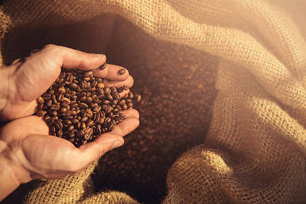coffee beans and hands stock photo