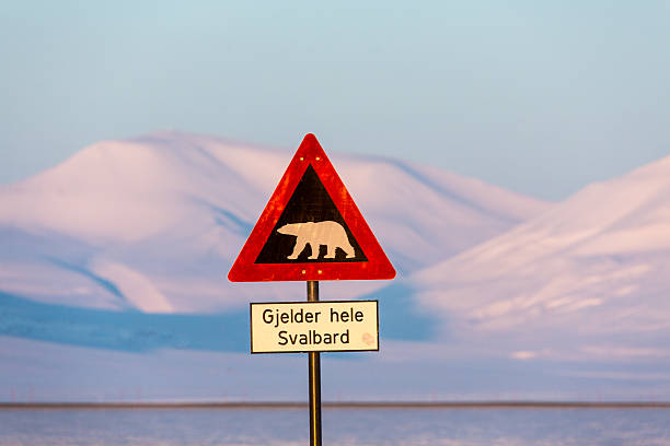 istock Road sign with Plar bear in Longyearbyen 531534966