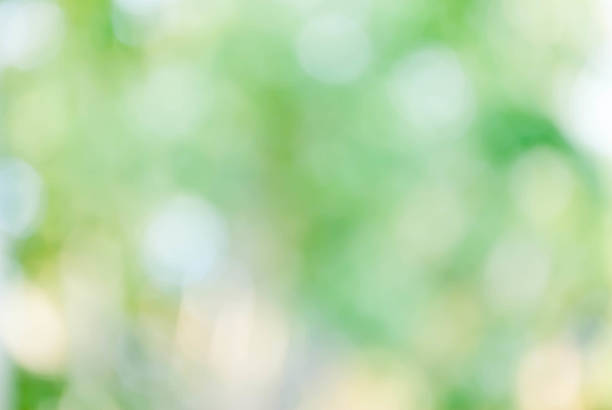 istock green and nature abstract defocused background 531535007