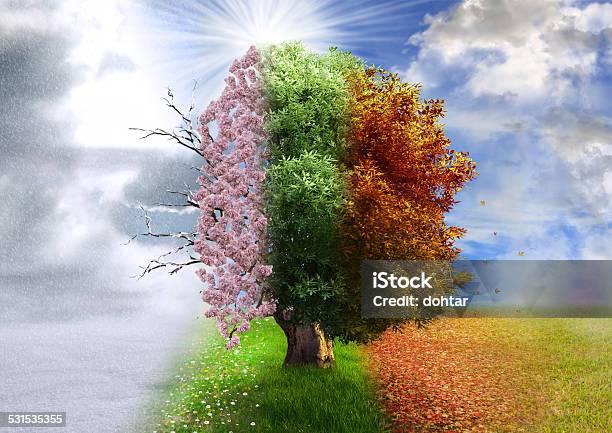 Four Season Tree Photo Manipulation Magical Nature Stock Photo - Download Image Now