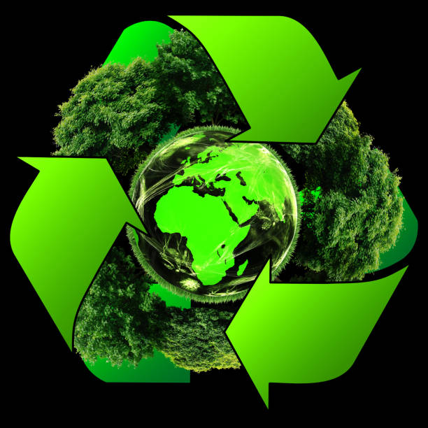 istock Recycle logo with tree and earth with recycle signs. 531536249