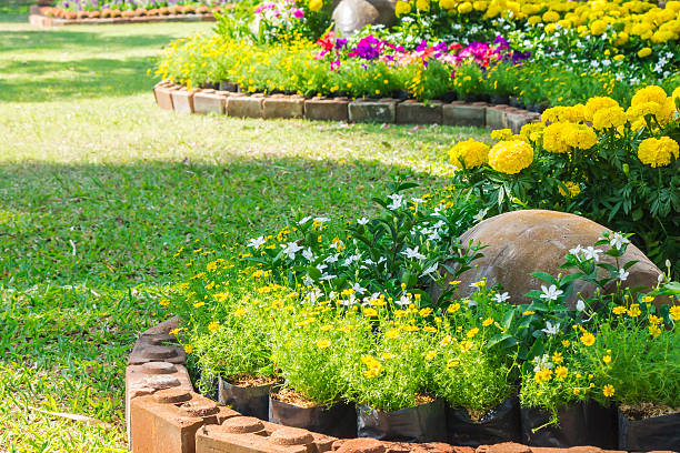 istock Flowers in the garden. 531538758