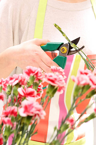 istock Trim the stems of flowers 531540668