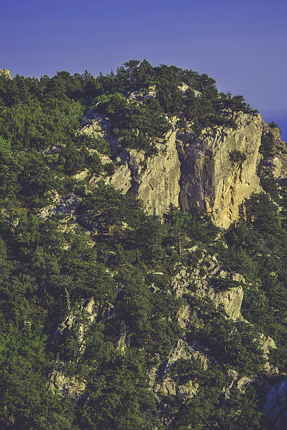 ciemne wody z góry tło z drzewa - climbing mountain climbing rock climbing moving up zdjęcia i obrazy z banku zdjęć