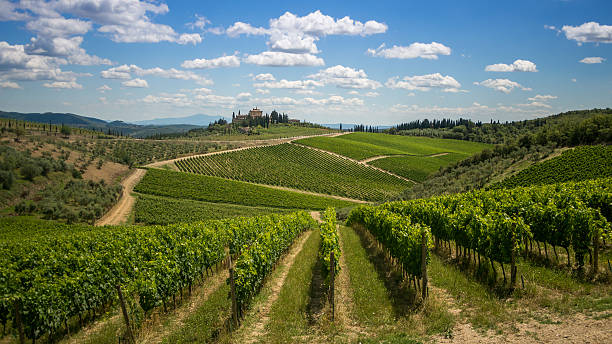 istock Scenic Toscana summer landscape 531542444