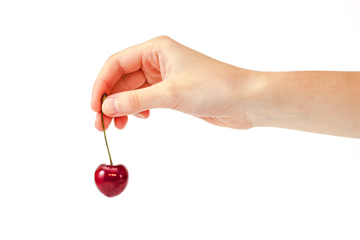 Hand holding red cherry against white background