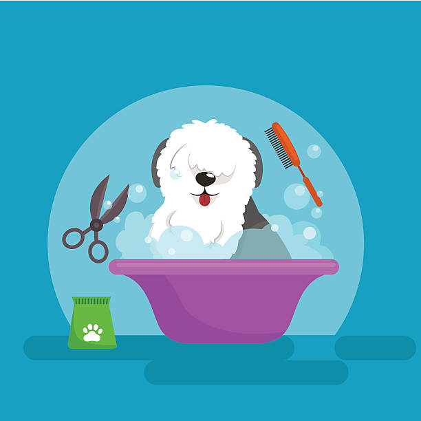 ilustrações de stock, clip art, desenhos animados e ícones de cão cabelo de higiene. conjunto de ilustração vetorial de animais de estimação e cuidados de aparência - dog bathtub washing puppy