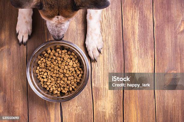 Dog And Bowl Of Dry Kibble Food Stock Photo - Download Image Now - Animal, Bowl, Candy