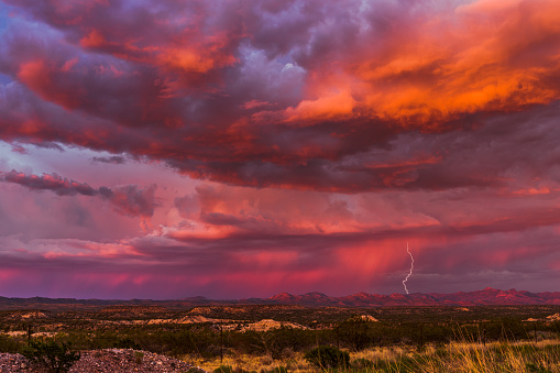 Vibrant lightning illuminates a bright orange and pink sky at sunset during a thunderstorm. Evening cloudscape with real lightning strike.