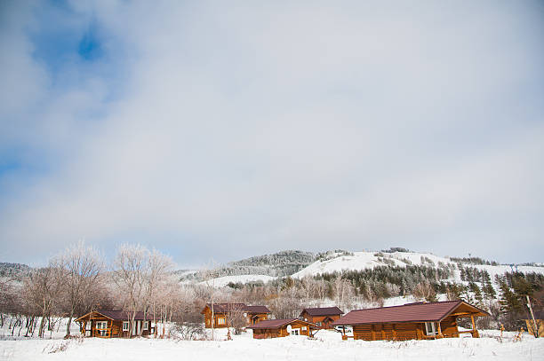istock Wooden house in winter 531552484