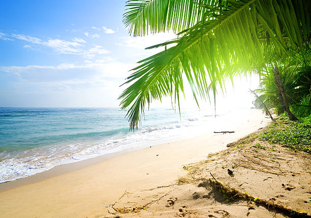 istock Morning sun over ocean 531555518