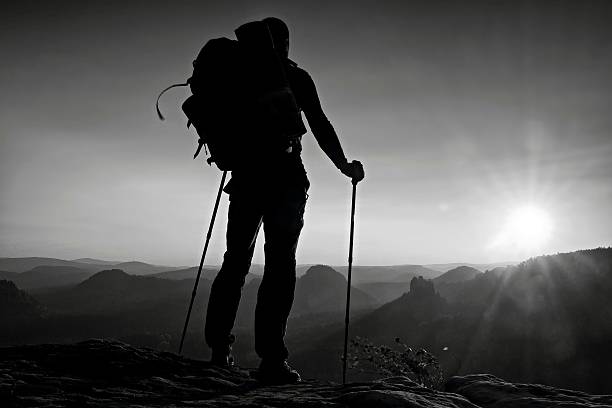 istock Tall backpacker with poles in hand. Sunny day in mountains 531556150